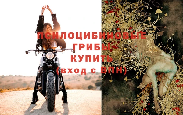 герыч Горняк