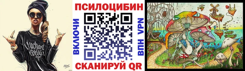 Псилоцибиновые грибы GOLDEN TEACHER  закладка  Салаир 