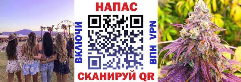 Бошки марихуана MAZAR  Салаир 